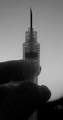Safety Needle Shield Converting To Usabel Blunt Cannula, AnestaWeb